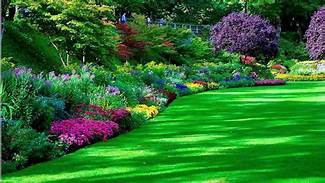Lawn and garden colorful
