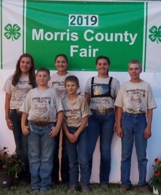 Beef Showmanship Winners 2019