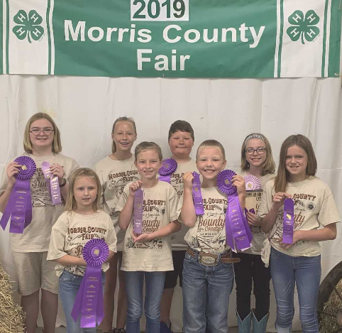 Cat Show Winners