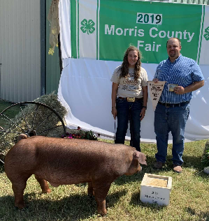 Champion Market Hog - Carissa Dalquest