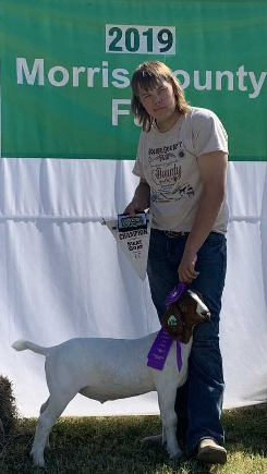 Champion Meat Goat - Wyatt Buchman