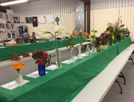 Floriculture Exhibits