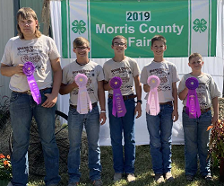 Goat Show Winners 2019