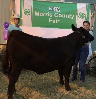 Grand Champion Breeding Heifer - Cassidy Dalquest