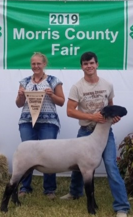 Champion Market Lamb - Colton Bacon