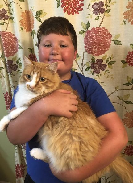 Leo White - Overall Grand Champion Cat 2019