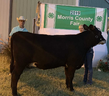 MR County Born Champion Breeding Heifer - Castyn Andres