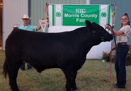 Overall Grand Champion Market Steer - Michelle Patry