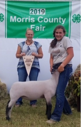 Reserve Champion Market Lamb - Carissa Dalquest