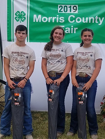 Sheep Showmanship Winners - Colton Bacon, Carrisa Dalquest, Cassidy Dalquest