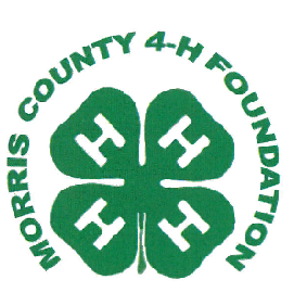 Foundation Original Logo