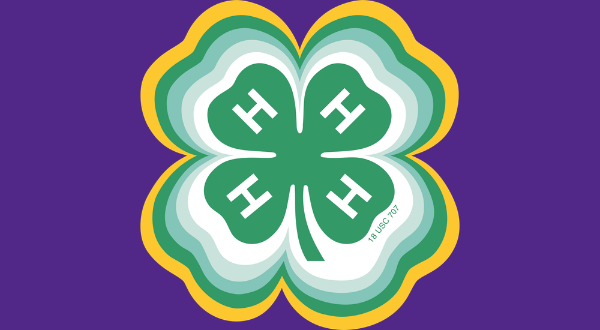 4-H clover emblem on purple background
