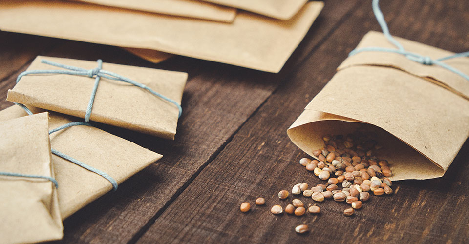 seed packets on table with garden seed spilling from packet